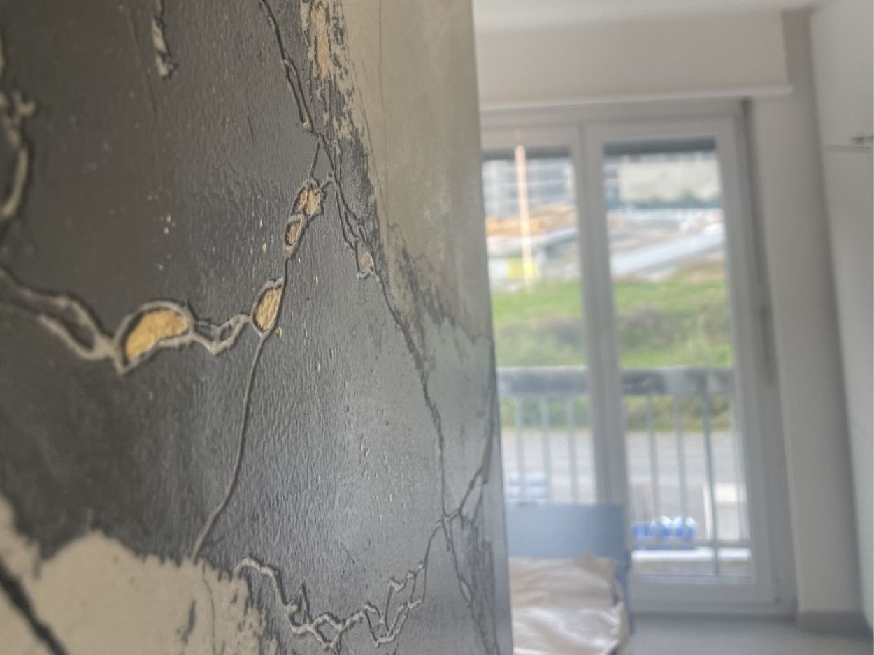 Réalisation habitat peinture (2)